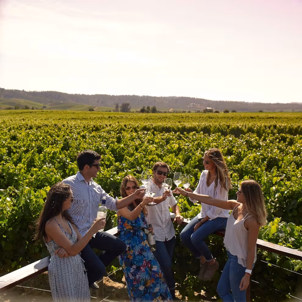 Tour Viñedos Valle Central
